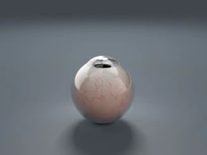 eyeball - grey 3D Model