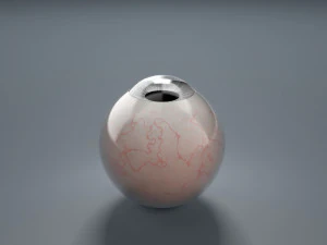 eyeball - grey 3D Model