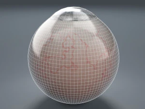 eyeball - grey 3D Model