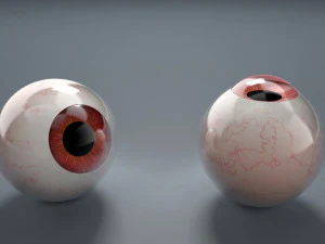 eyeball - red 3D Model