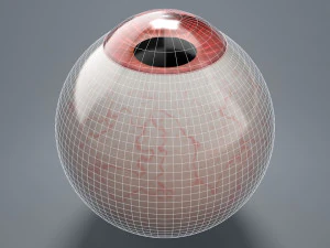 eyeball - red 3D Model