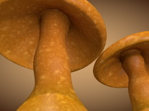 mushroom 1 Modelo 3D