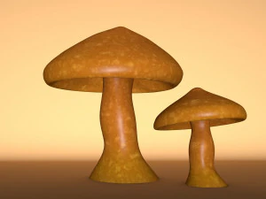버섯 1 3D 모델