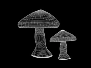 버섯 1 3D 모델