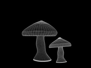 버섯 1 3D 모델
