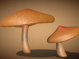 mushroom 2 3D Model