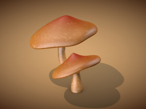 mushroom 2 3D 모델