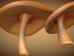 mushroom 2 3D 모델