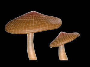 mushroom 2 3D 모델