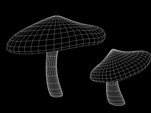mushroom 2 3D 모델