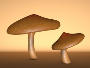 mushroom 2 3D 모델