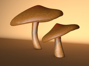 mushroom 2 3D 모델