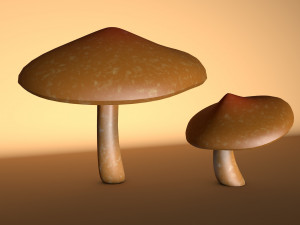 mushroom 2 3D 모델