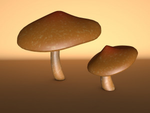 mushroom 2 3D 모델