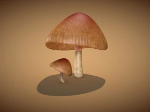 mushroom 3 3D Model