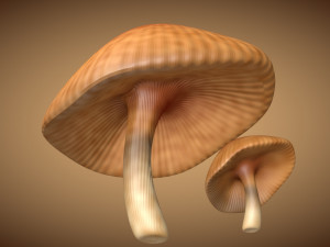 mushroom 3 Modelo 3D