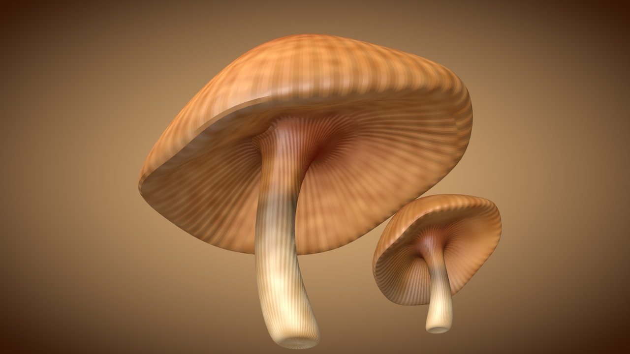 Mushroom 3. мухомор 3д модель. грибы 3д. три д модель гриба. Cute mushrooms 3d.