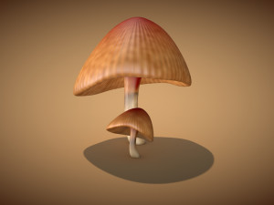 mushroom 3 Modelo 3D
