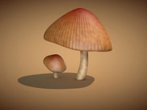mushroom 3 3D Model