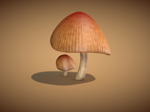 mushroom 3 Modelo 3D