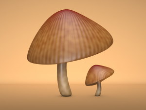mushroom 3 Modelo 3D