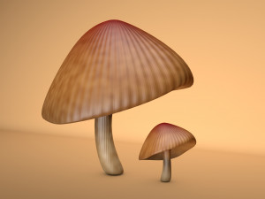 mushroom 3 Modelo 3D