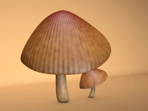 mushroom 3 3D Model