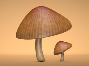 mushroom 3 Modelo 3D