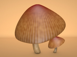 mushroom 3 Modelo 3D