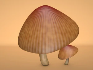 mushroom 3 3D Model