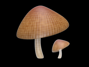 mushroom 3 Modelo 3D