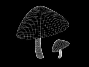 mushroom 3 Modelo 3D