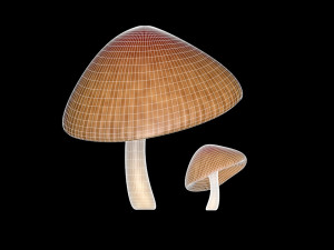 mushroom 3 Modelo 3D