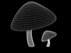 mushroom 3 Modelo 3D