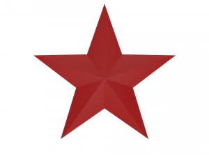 5 point star 3D Model