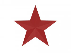 5 point star 3D Model