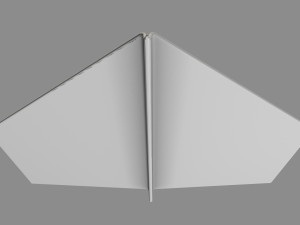 paper plane - glider 3D 모델