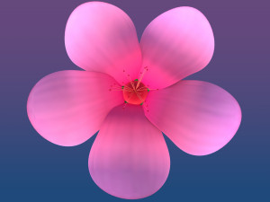 cherry blossom Modelo 3D