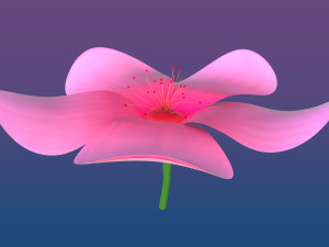 cherry blossom Modelo 3D