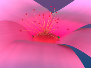 cherry blossom Modelo 3D