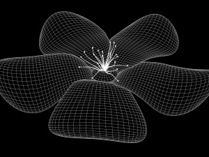 cherry blossom Modelo 3D