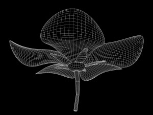 cherry blossom Modelo 3D