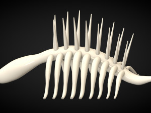 attack on titan - skeleton Model 3D