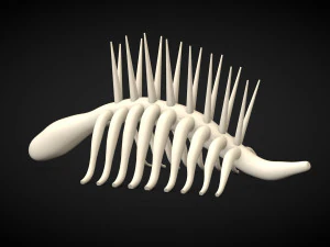 attacco su titano - scheletro Modello 3D