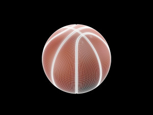 Basketball 3D 模型