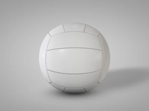 Volleyball 3D Model