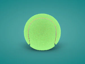 Tennis Ball 3D Model