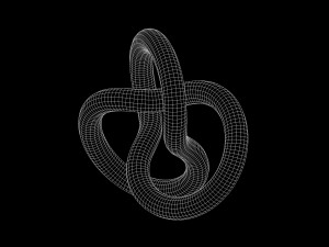 Trefoil Knot A 3D 모델