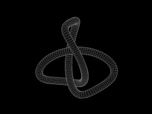 Trefoil Knot B Modello 3D