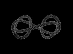 Granny Knot 3D Model